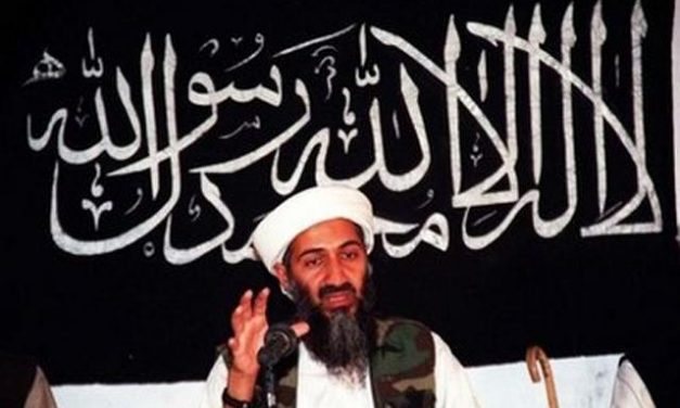Al-Qaida nyt: Verkostot, Strategiat, Tavoitteet