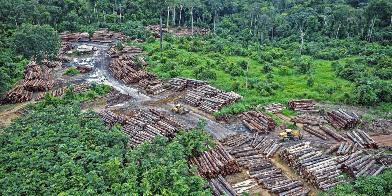 Amazonin palaessa Bolsonaron hallitus tasapainoili skandaalien ja uudistusten välillä